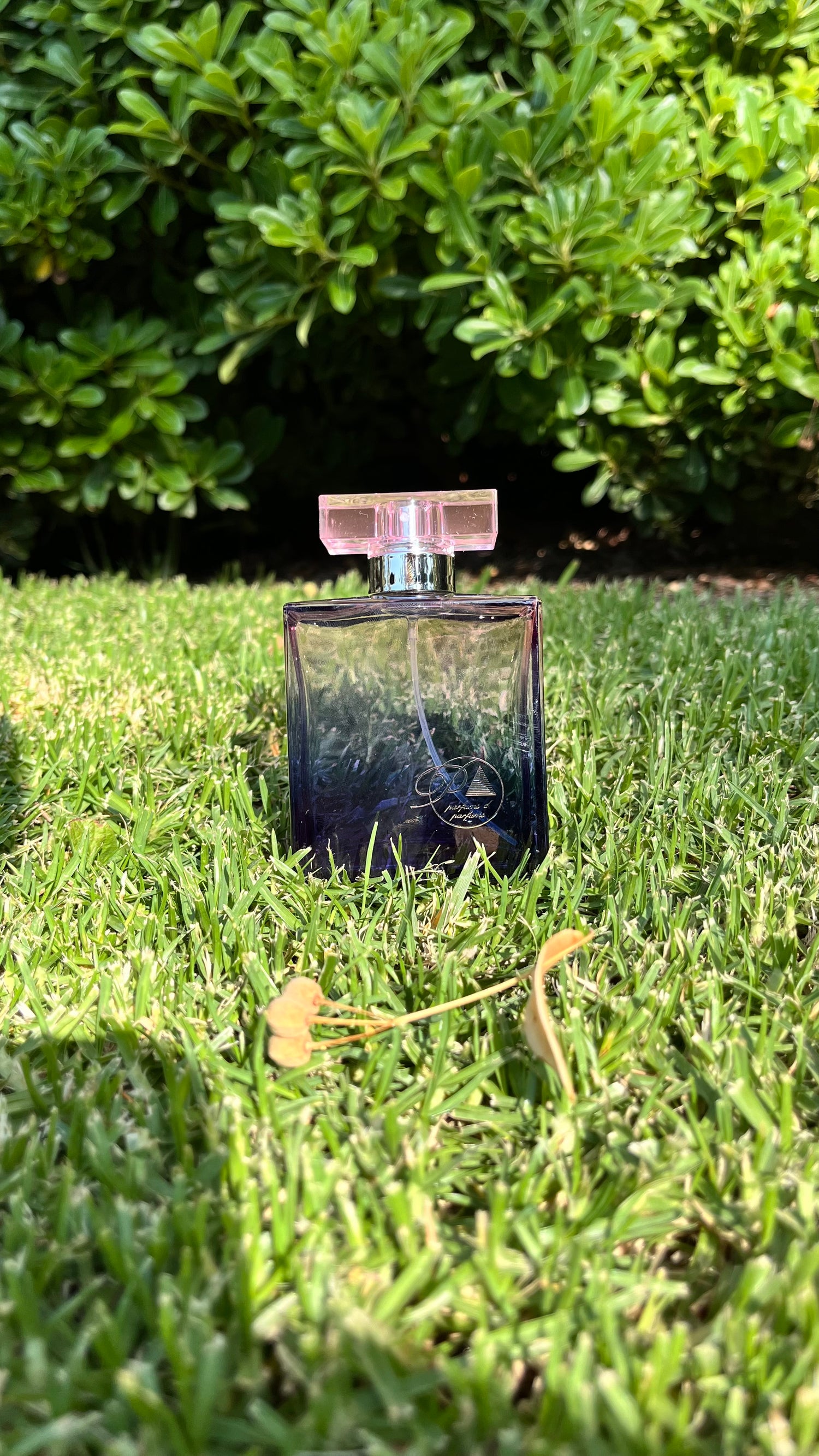 Perfumes para las mujeres